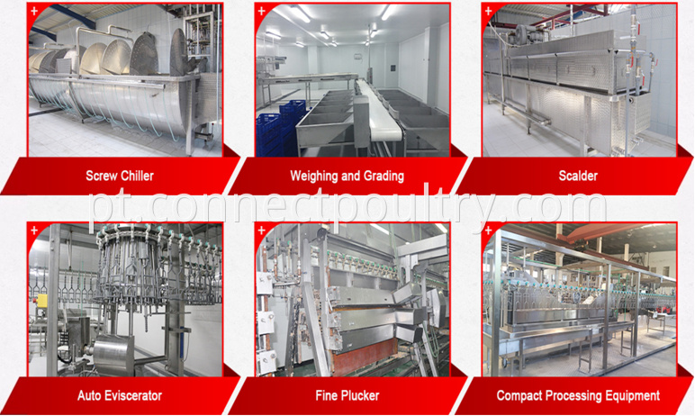 Poultry processing equipment